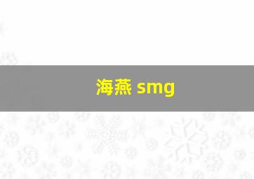 海燕 smg